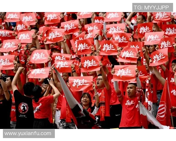 成都排球队比赛经验引发热议球迷观点各异引发争论