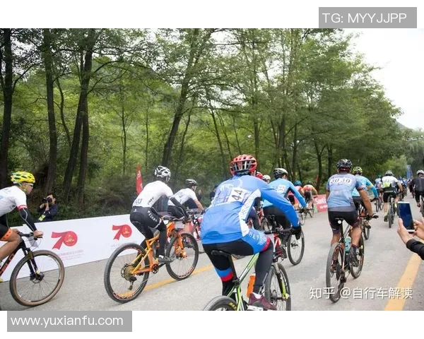 武汉极限运动队中路突破的成就与挑战分析