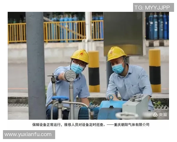 重庆飞盘队状态分析：聚焦团队表现与未来发展潜力