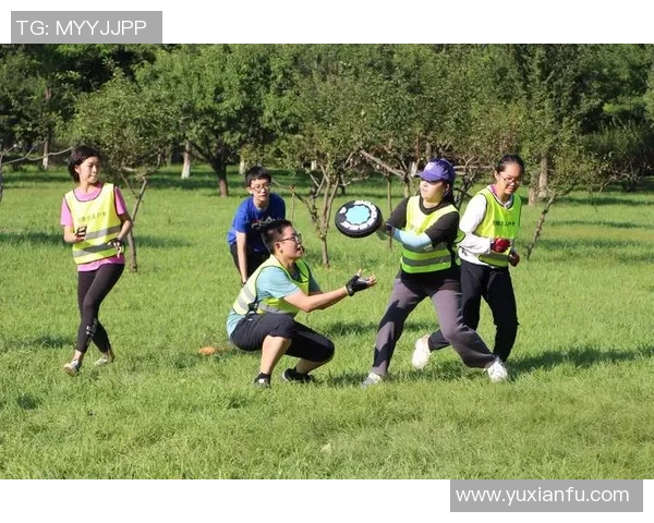 飞盘战术揭秘：深入分析北京飞盘队的区域防守策略与实践