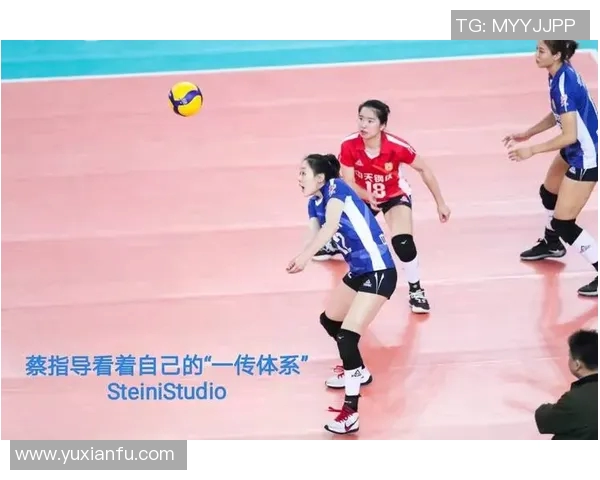 从零起步到赛场巅峰排球比赛全方位经验分享与技巧指南 从零起步到赛场巅峰排球比赛全方位经验分享与技巧指南