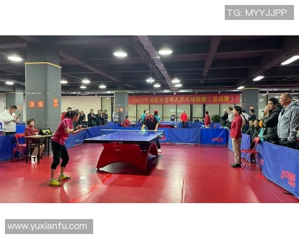 乒乓球盛宴：深入解析成都乒乓球队的独特技术与训练秘诀