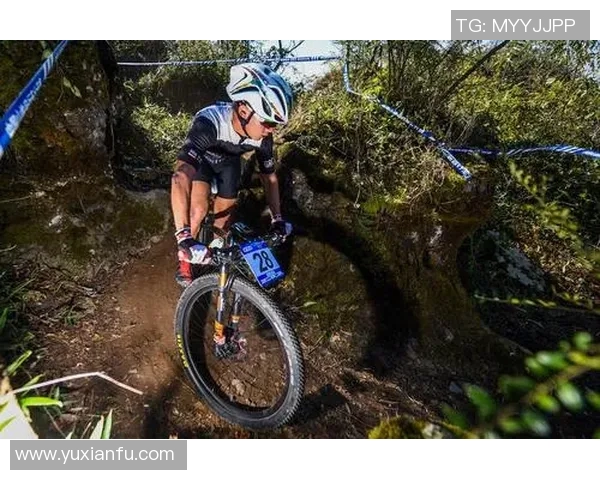 挪威与北爱尔兰激战正酣精彩赛事回顾与分析