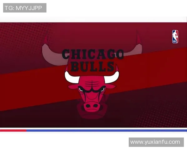 湖人公牛激战正酣球迷热情高涨期待精彩对决