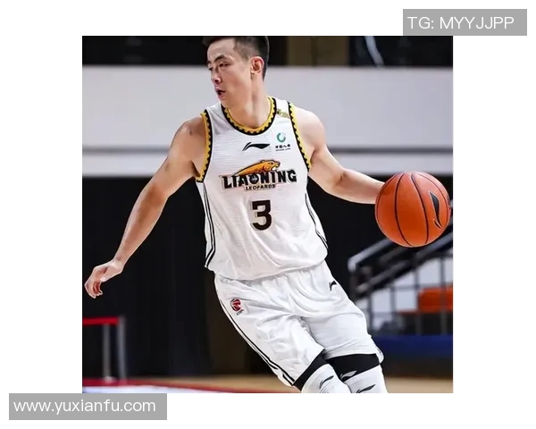 赵继伟：从篮球新星到国家队核心的成长之路与未来展望