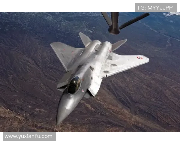 卡利美州与防卫者激战正酣谁能在这场较量中笑到最后